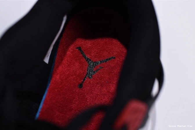 AQ3816-065 Jordan Retro NRG 4 Air Raptors